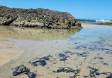 Elliott Heads rock pools