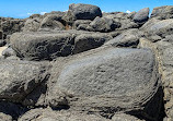 Elliott Heads rock pools