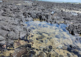 Elliott Heads rock pools