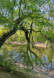 Waldpark Mannheim