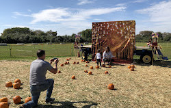 Green Meadows Farm Brooklyn