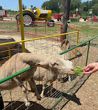 Green Meadows Farm Brooklyn