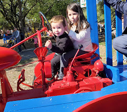 Green Meadows Farm Brooklyn