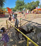 Green Meadows Farm Brooklyn