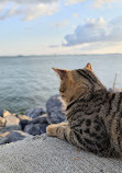 Yenikapı Şehir Parkı