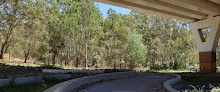 Wurundjeri Spur Lookout