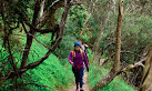 Wurundjeri Spur Lookout