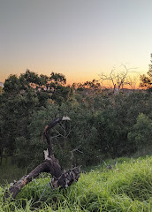 Wurundjeri Spur Lookout