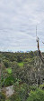 Wurundjeri Spur Lookout