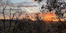 Wurundjeri Spur Lookout