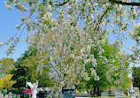 Congressional Cemetery