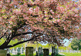 Congressional Cemetery