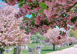 Congressional Cemetery