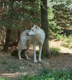 Zoological Society of NJ