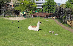 Société zoologique du New Jersey