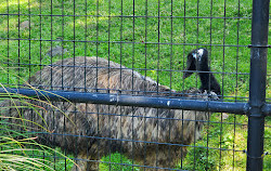 Société zoologique du New Jersey