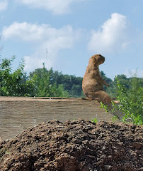 Société zoologique du New Jersey