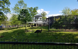 Société zoologique du New Jersey