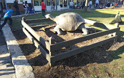 Société zoologique du New Jersey