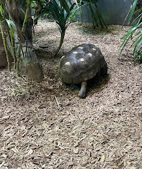 Société zoologique du New Jersey