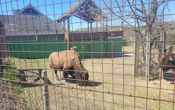 Société zoologique du New Jersey