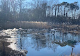 Cat Tail Creek Bridge