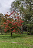 Awbury Arboretum