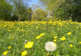 Awbury Arboretum