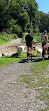 The Farm at Awbury Arboretum