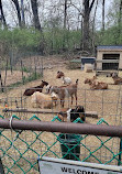 The Farm at Awbury Arboretum