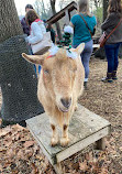 The Farm at Awbury Arboretum