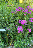 The Farm at Awbury Arboretum