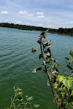 Lingabuddi lake