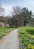 Berkshire Botanical Garden