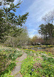 Berkshire Botanical Garden