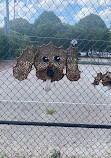 Canton Dog Park