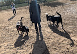 Canton Dog Park