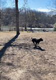 Paw Point Dog Park