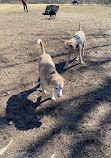 Paw Point Dog Park