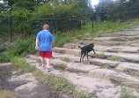 Paw Point Dog Park