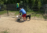 Paw Point Dog Park