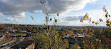 Shrewsbury Castle