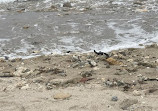 Fort Lauderdale Jetties