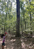 Elizabeth Hartwell Mason Neck National Wildlife Refuge