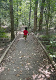 Elizabeth Hartwell Mason Neck National Wildlife Refuge