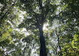 Elizabeth Hartwell Mason Neck National Wildlife Refuge