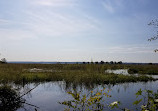 Elizabeth Hartwell Mason Neck National Wildlife Refuge