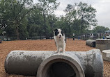 Hollywood Dog Park