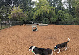 Hollywood Dog Park