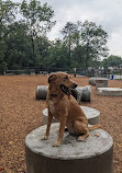 Hollywood Dog Park